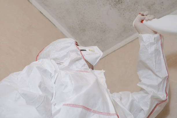 Trusted Tinton Falls, NJ Mold Removal Experts